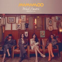 Cover of Wind flower -Japanese ver.-