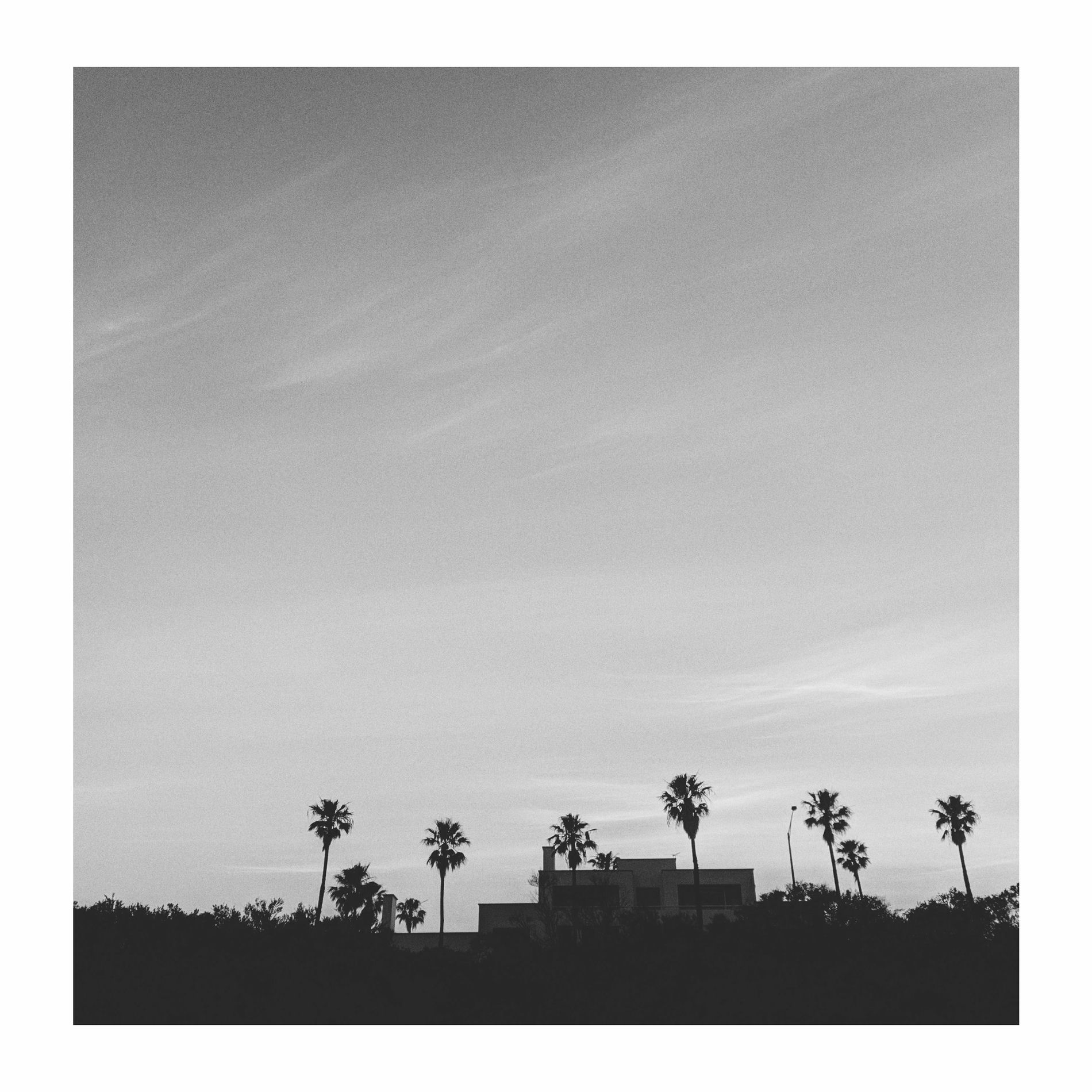 Album cover of Saturday