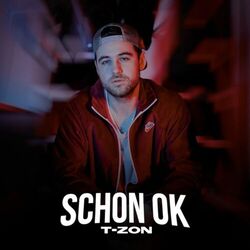 Cover of Schon Ok