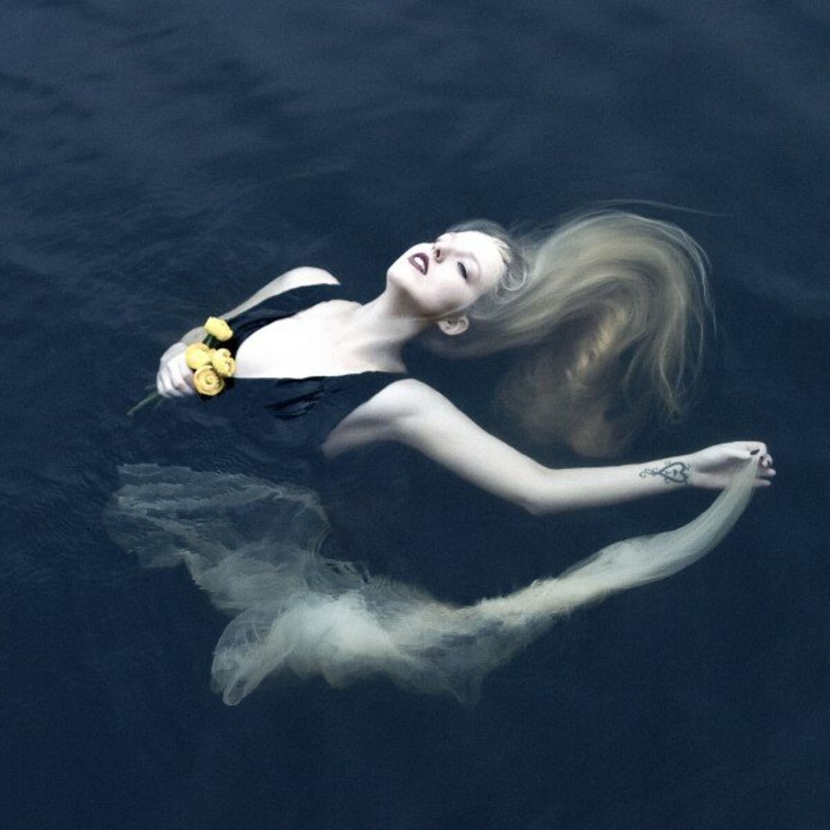 Album cover of Silent Chamber, Noisy Heart (Remastered 2024)