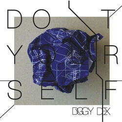 Cover of Do It Yourself