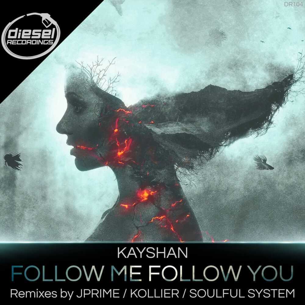 Picture of Follow Me Follow You