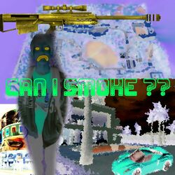 Cover of Can I Smoke ??
