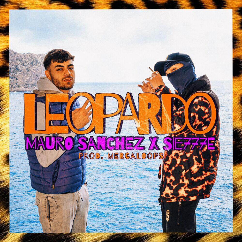 Picture of Leopardo
