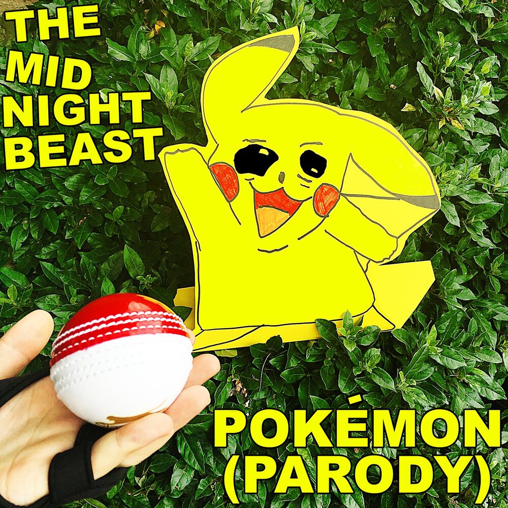 Picture of Pokemon (Parody)