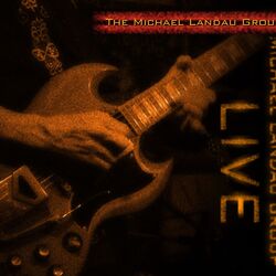 Michael Landau Group Live