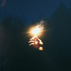 Cover of Wild Faith