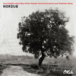 Cover of Nordub (feat. Eivind Aarset & Vladislav Delay)