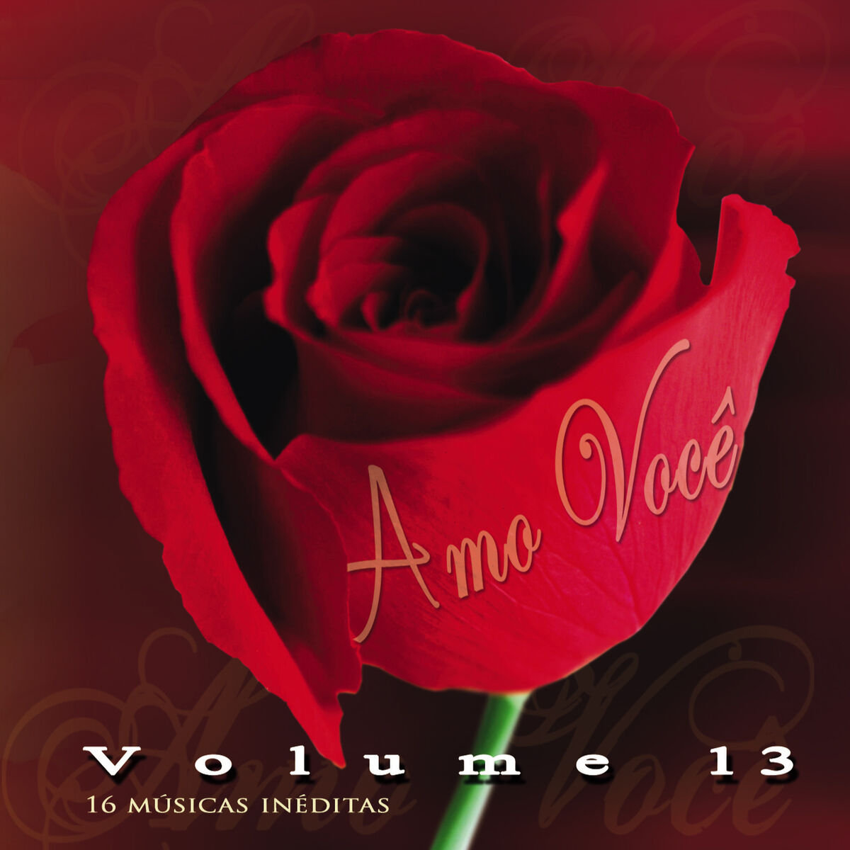 Album cover of Amo Você Vol. 13