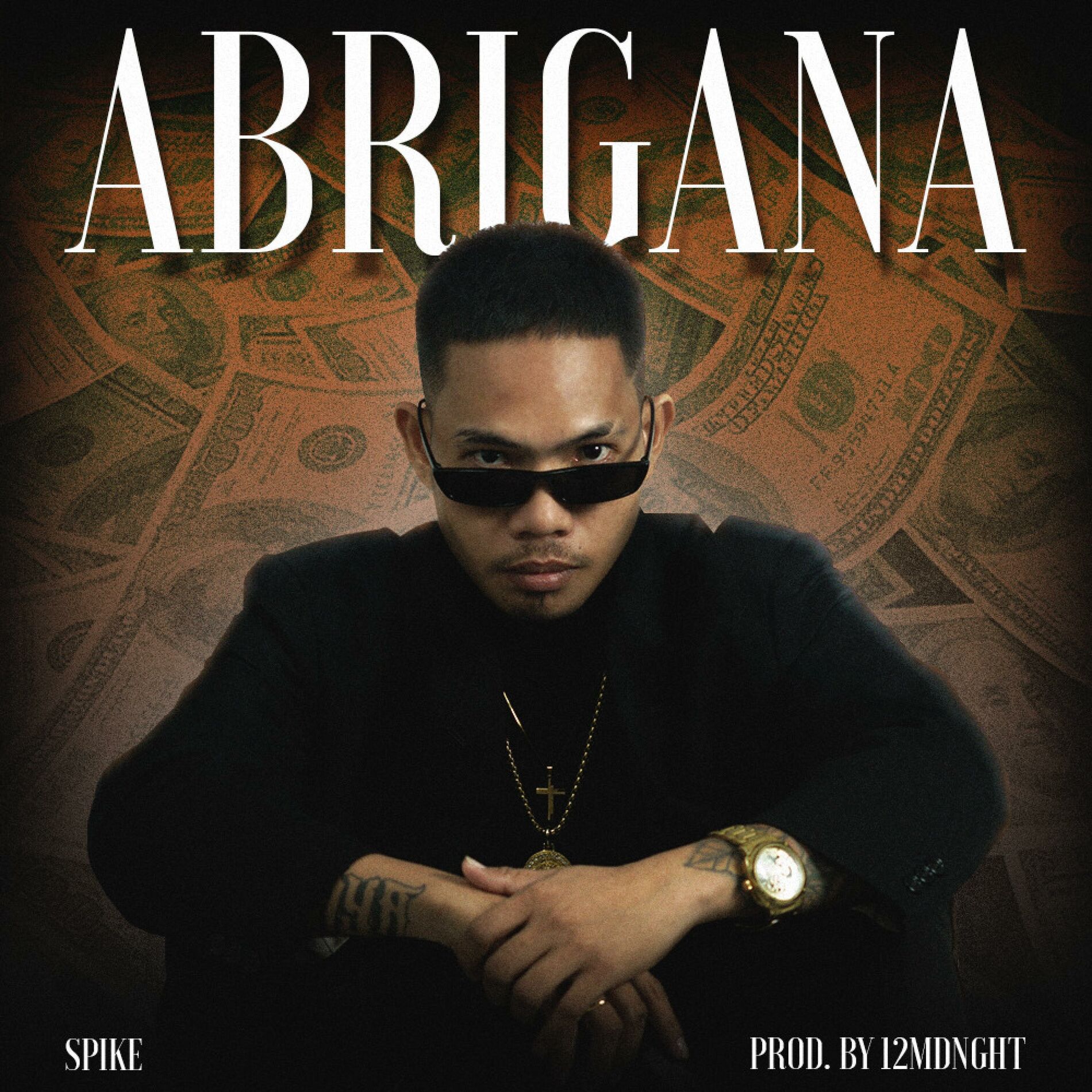 Album cover of Abrigana (feat. Spike)