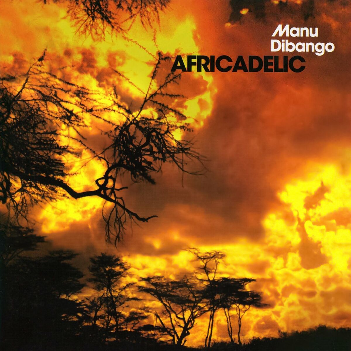 Album cover of The Panther