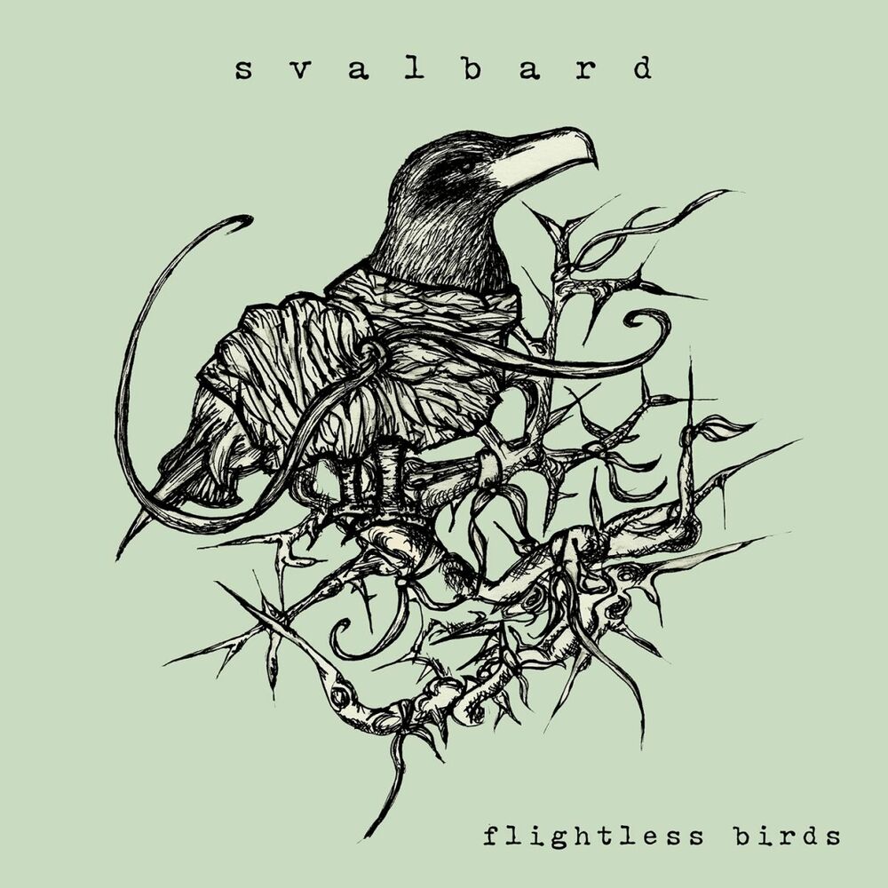 Picture of Flightless Birds