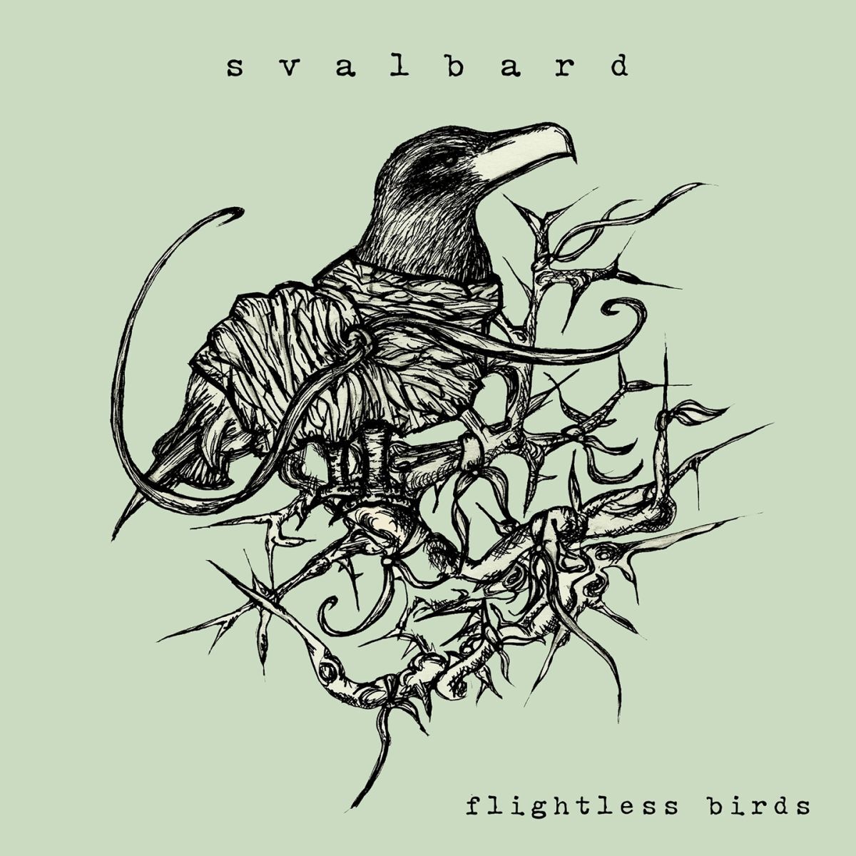Album cover of Flightless Birds