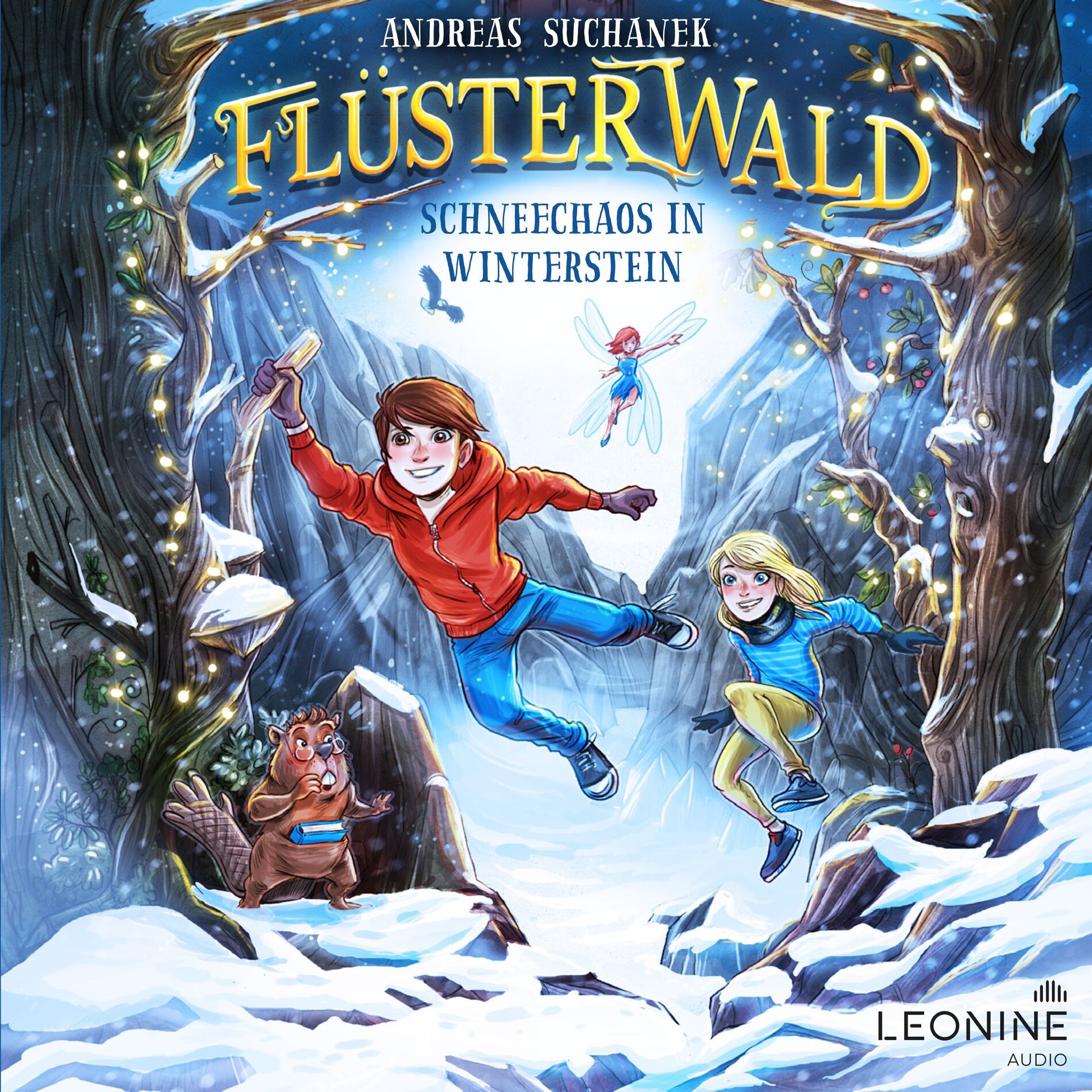 Album cover of Flüsterwald - Schneechaos in Winterstein