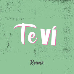 Cover of Te Vi