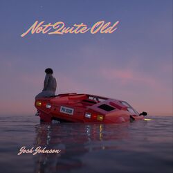 Cover of Not Quite Old
