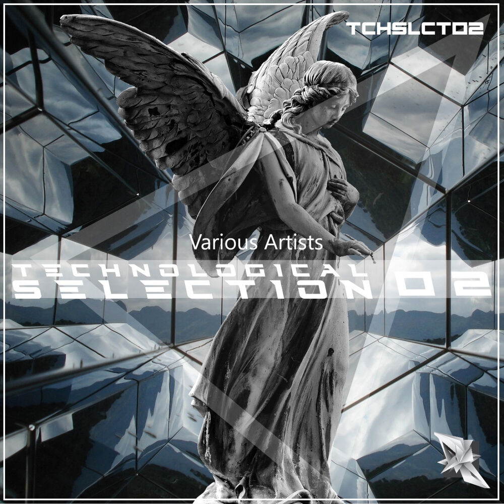 Picture of Technological Selection 02