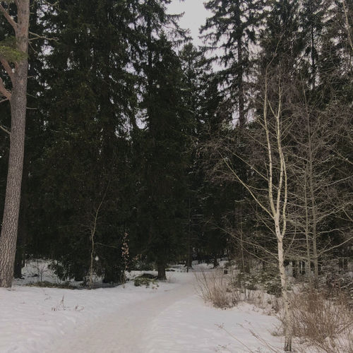 Холодно
