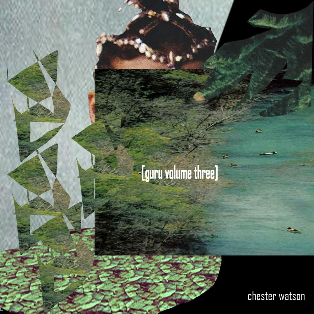 Picture of Guru, Vol. 3