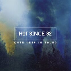 Cover of Knee Deep In Sound