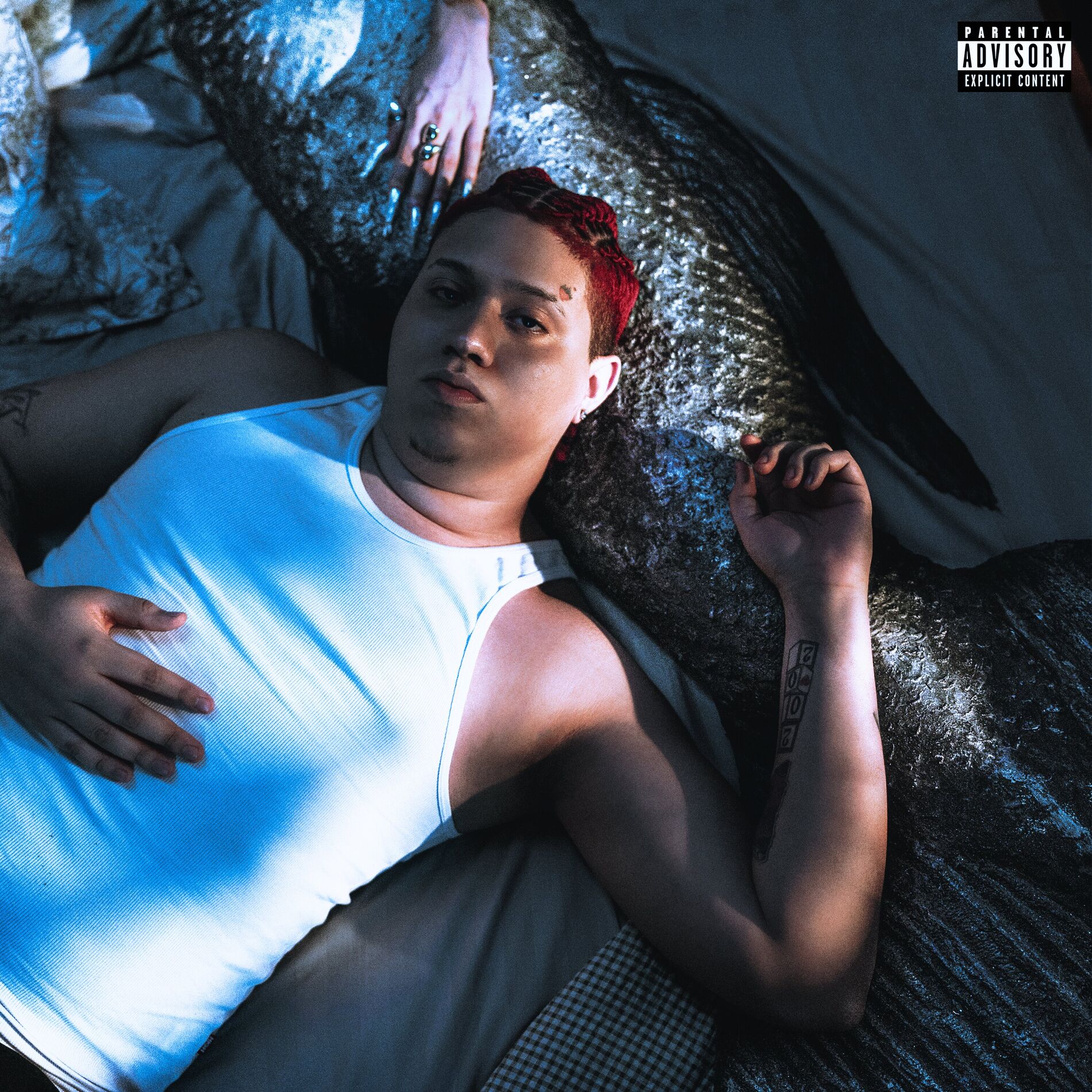 Album cover of Balanço de Rede