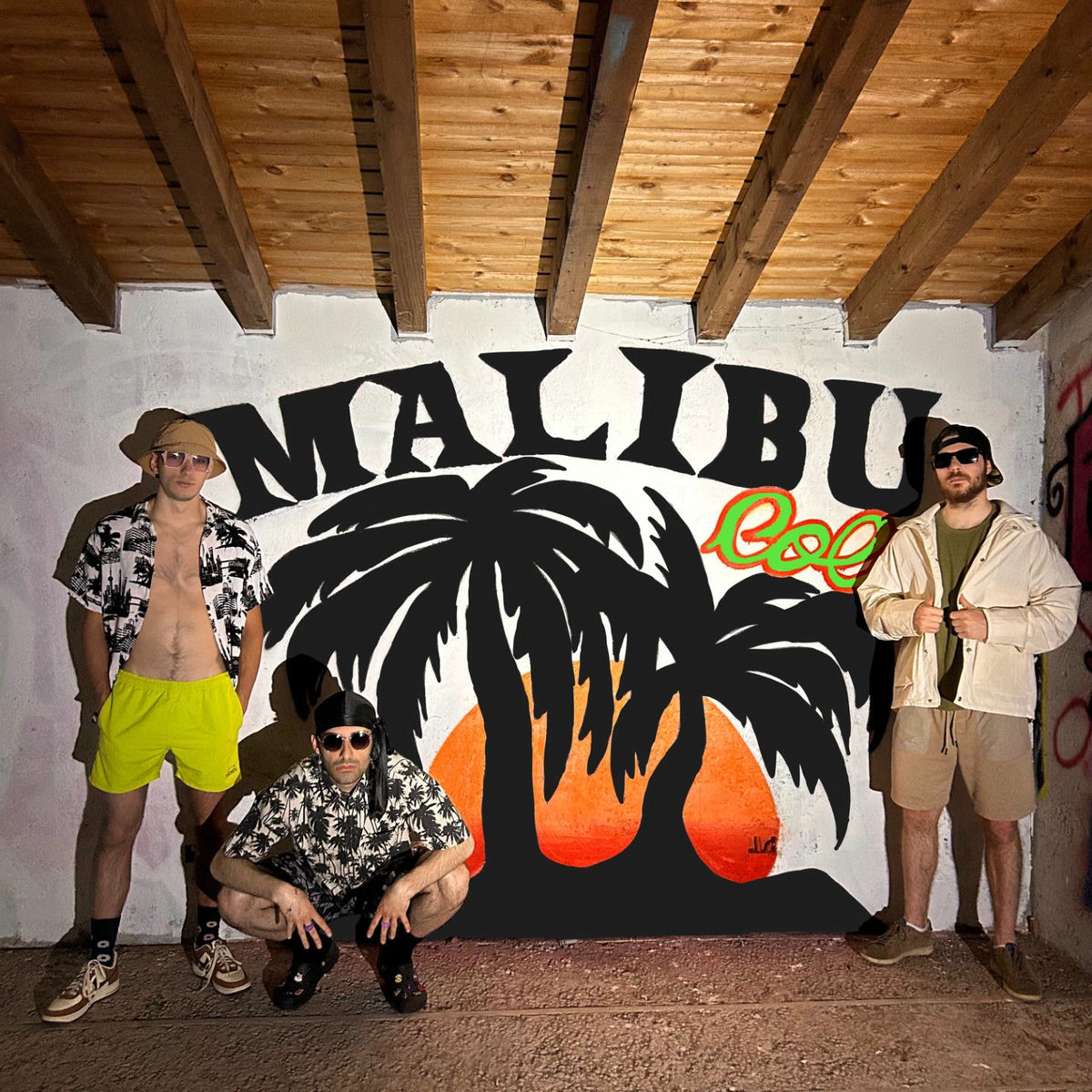 Album cover of MALIBU COLA