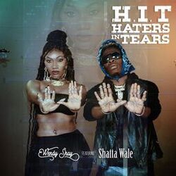 Cover of H.I.T (Haters in Tears)