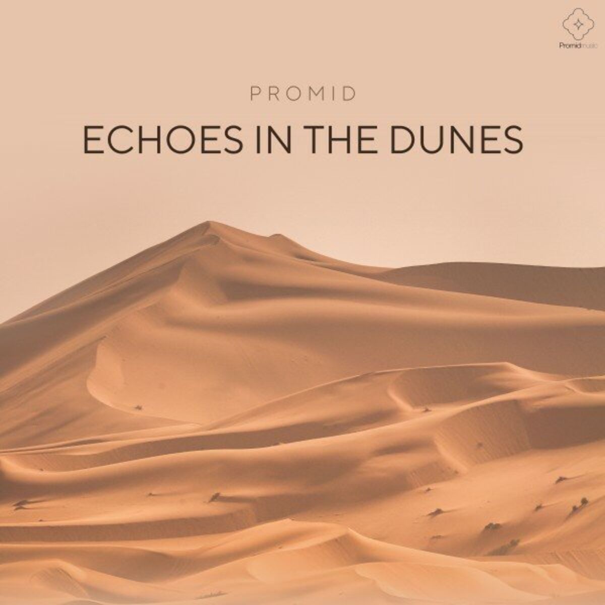 Album cover of Echoes in the Dunes