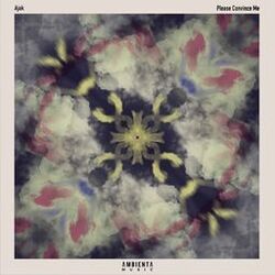 Cover of Please Convince Me