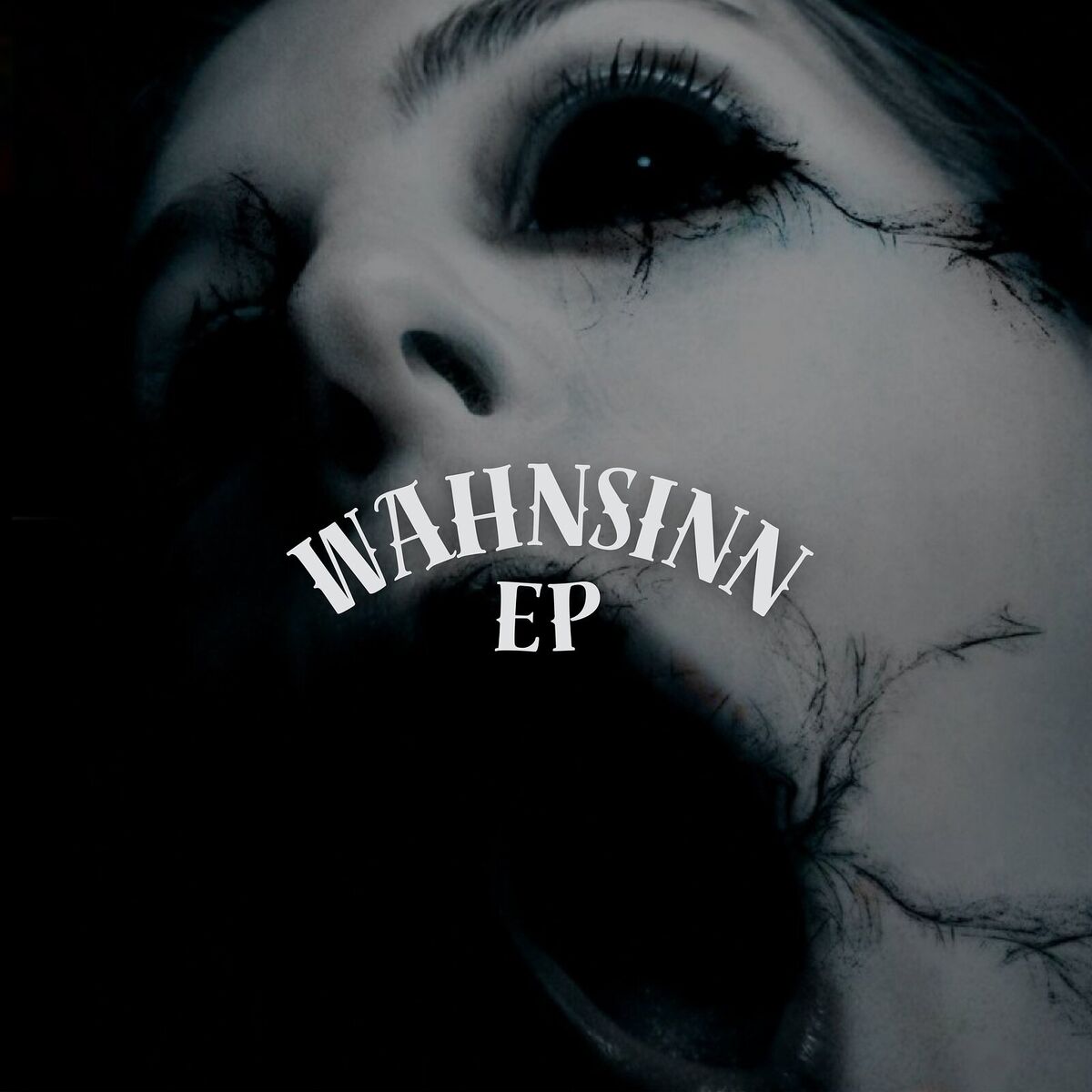 Album cover of Wahnsinn EP