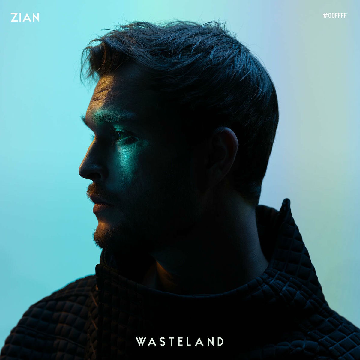 Album cover of Wasteland