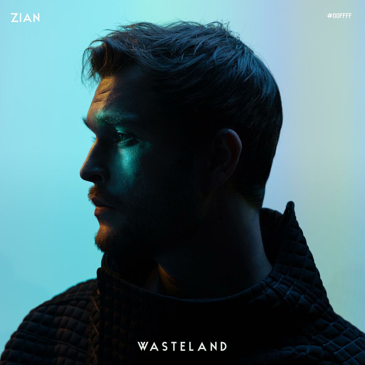 Album cover of Wasteland