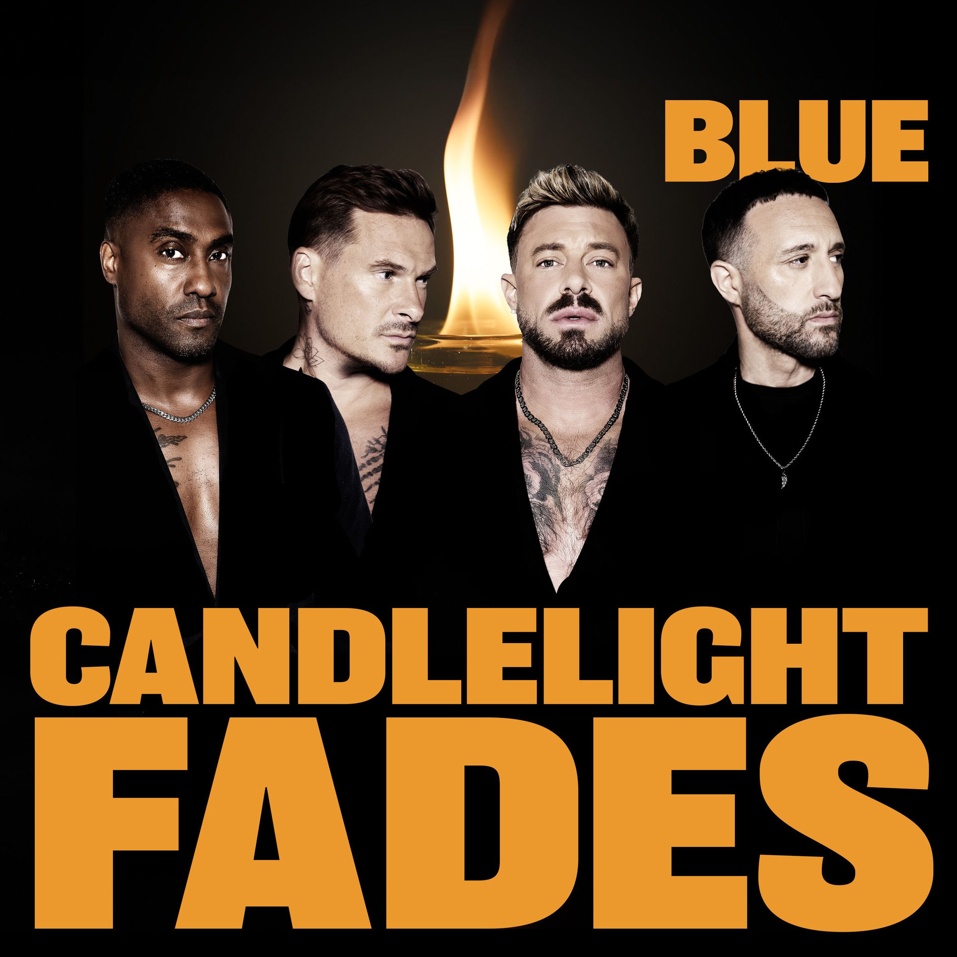Album cover of Candlelight Fades