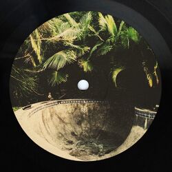 Cover of Deeply Rooted Vibes EP