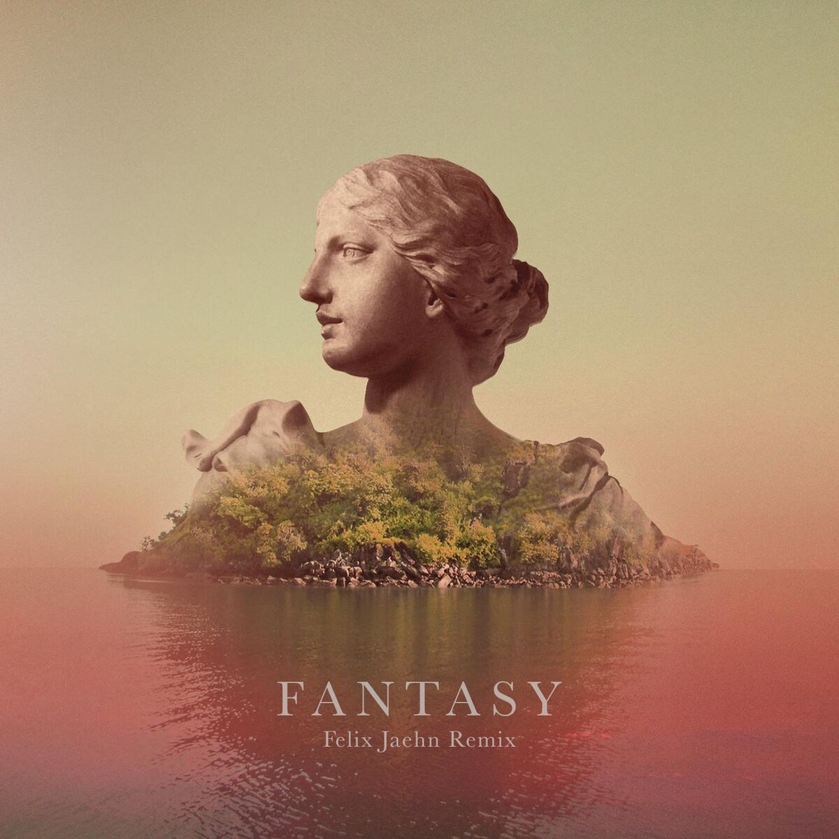Album cover of Fantasy