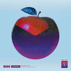Cover of Noi