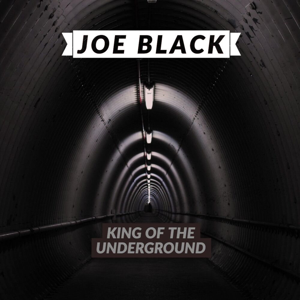 Picture of King of the Underground