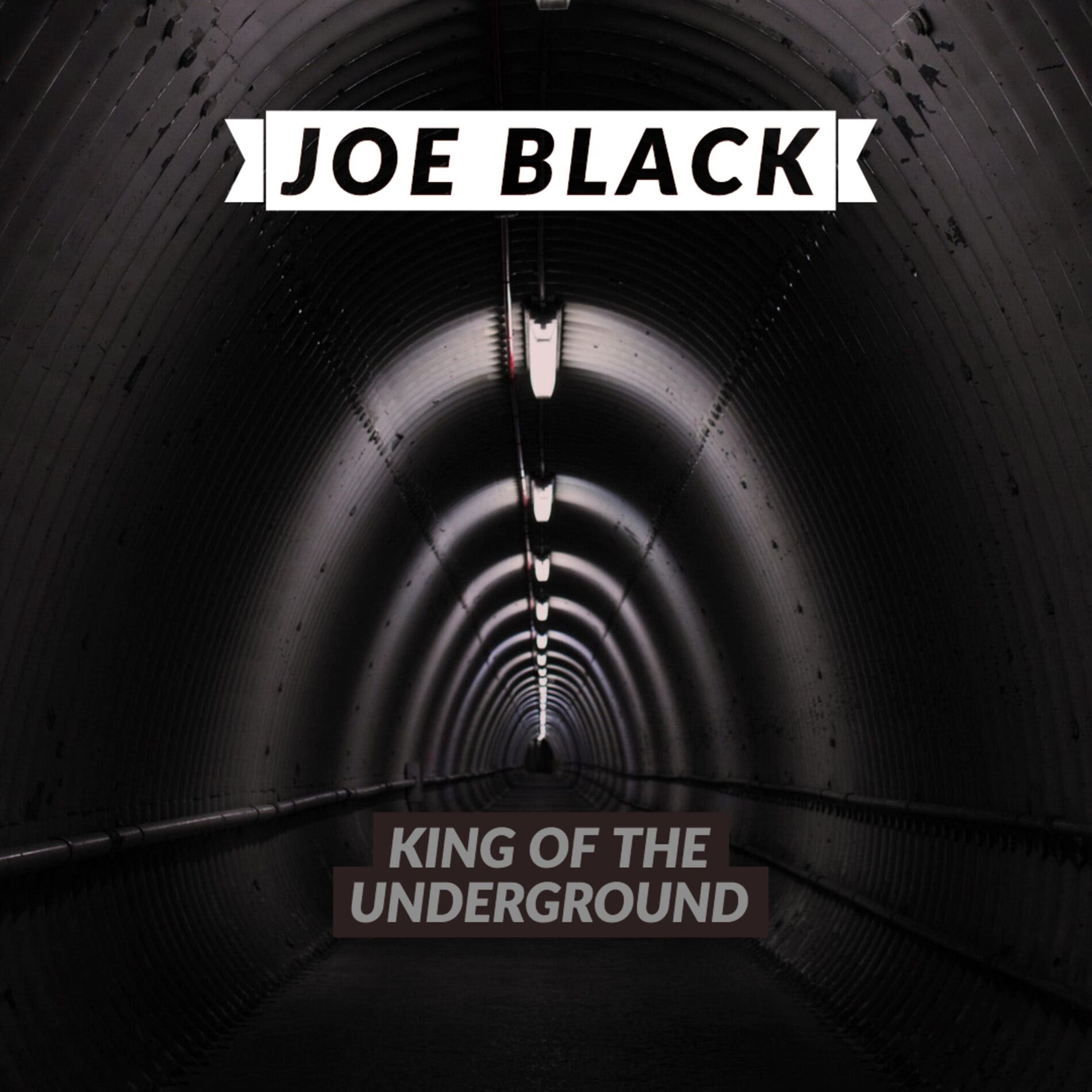 Album cover of King of the Underground