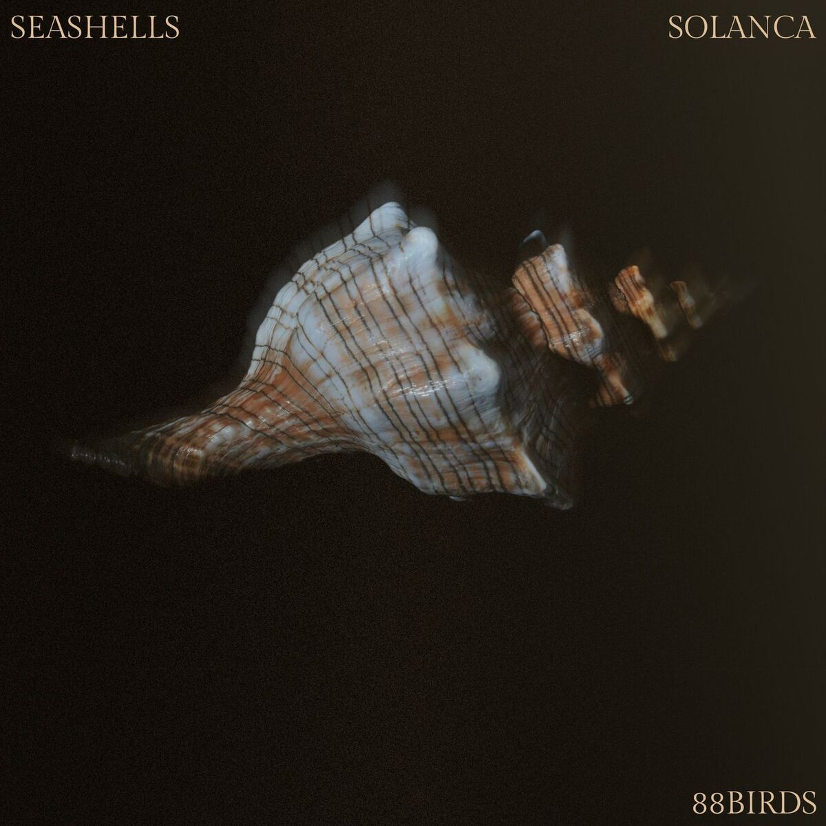 Album cover of Seashells