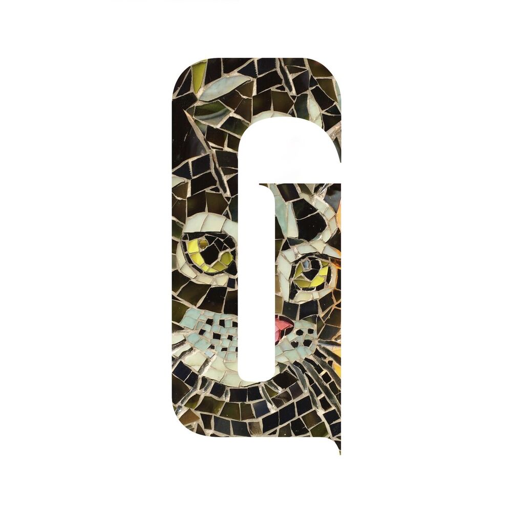 Picture of C Dat Cat