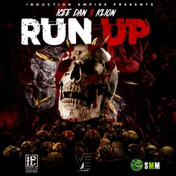 Cover of Run Up