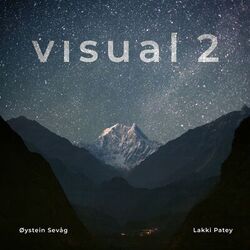 Cover of Visual 2