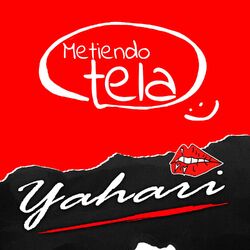 Cover of Metiendo Tela