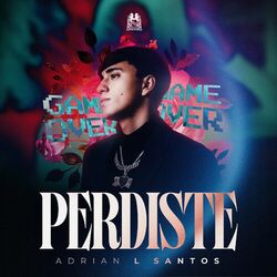 Cover of Perdiste