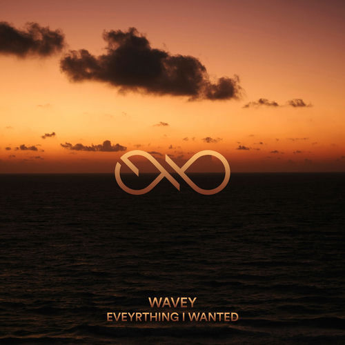 Everything I Wanted
