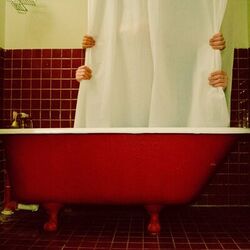Cover of Before We Croak