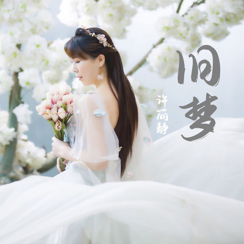 旧梦 (DJ默涵版)