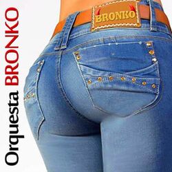 Cover of Bronko