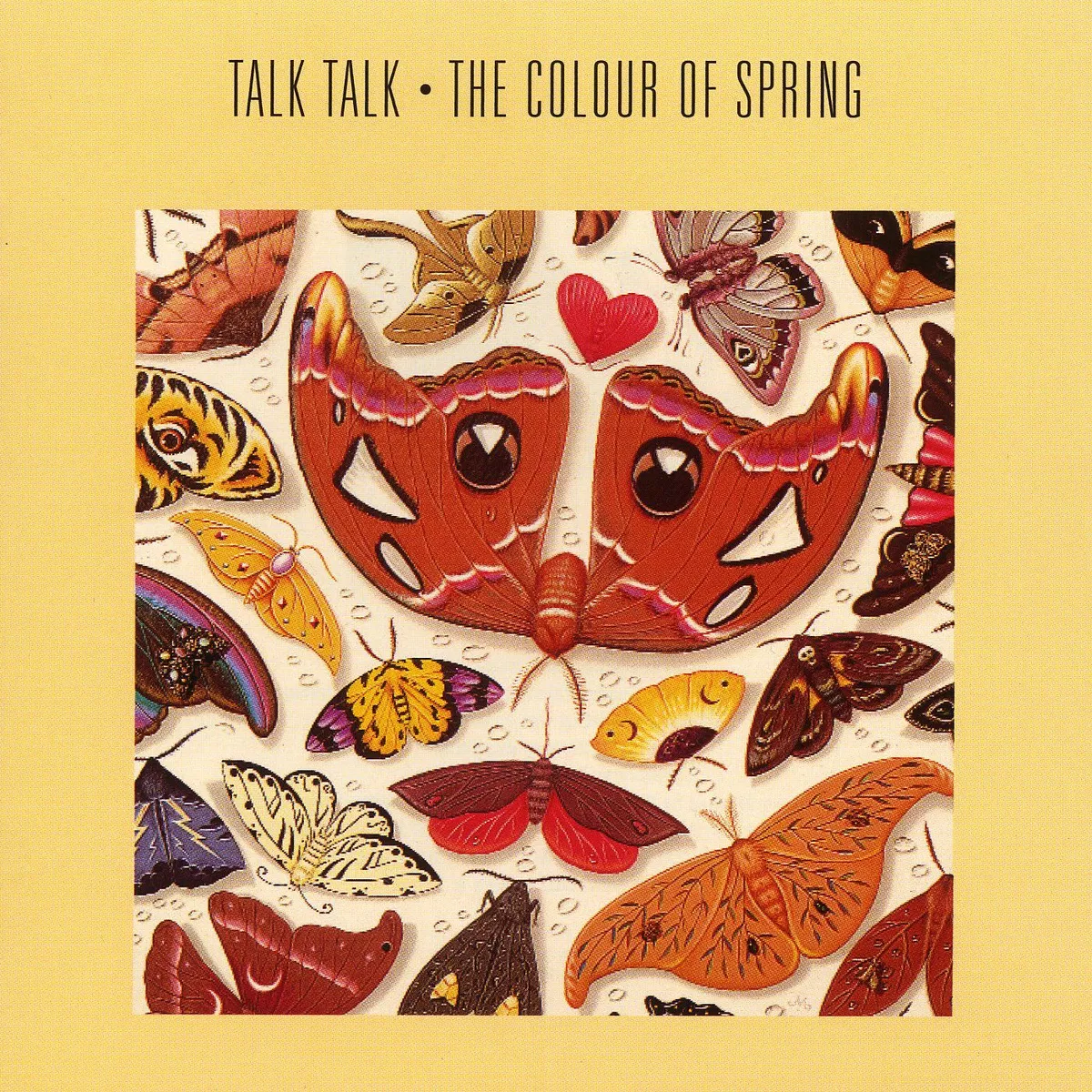 The Colour of Spring, Talk Talk