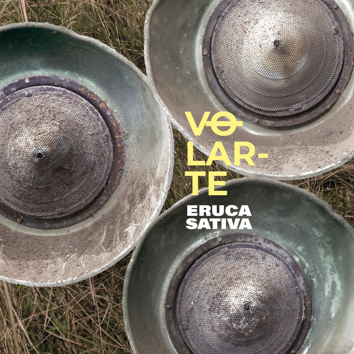 Album cover of VOLARTE